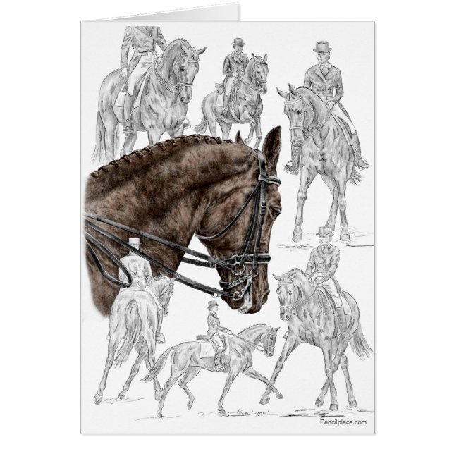 FEI für eingesammelte Dressurpferde (Vorne)