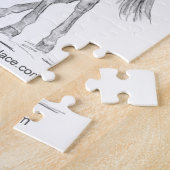 FEI für eingesammelte Dressurpferde Puzzle (Seite)