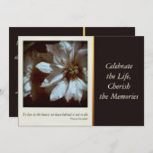 Feier der Clematis-Blumenphotographie-3 des Lebens Einladung (Vorne/Hinten)