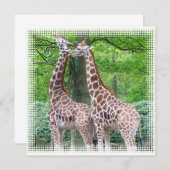 Feier der Einladung von Giraffen (Vorne/Hinten)