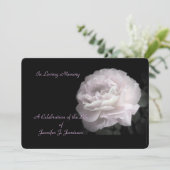 Feier der Einladung zum Leben in der blass rosa Ro (Stehend Vorderseite)