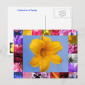 Feier der Postkarte des Frühlings (Vorne/Hinten)