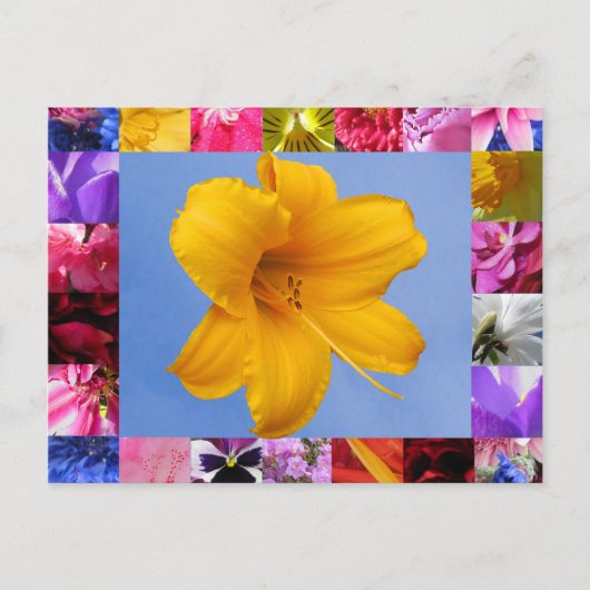 Feier der Postkarte des Frühlings (Vorderseite)