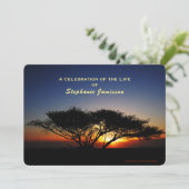 Feier des Lebens, einsamer Akazienbaum bei Sonnena Einladung (Stehend Vorderseite)