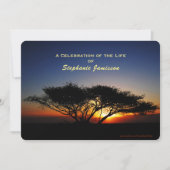 Feier des Lebens, einsamer Akazienbaum bei Sonnena Einladung (Vorderseite)