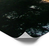 Feier, Florida Poster (Ecke)