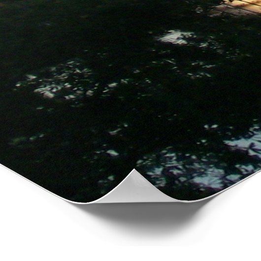 Feier, Florida Poster (Ecke)