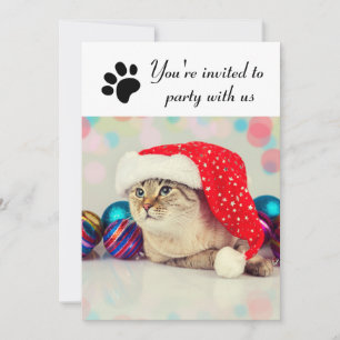 Feier mit uns Katze - Weihnachtsfeier-Einladung Einladung