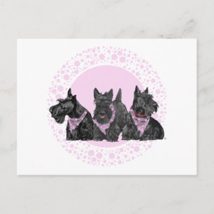 Feier Scotties in Rosa Einladungspostkarte