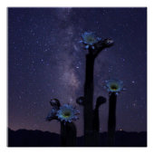 Feier unter den Sternen Poster (Vorderseite)