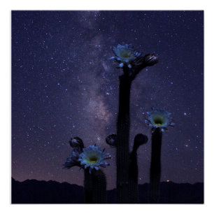 Feier unter den Sternen Poster