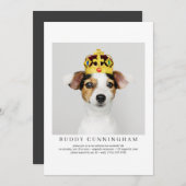 Feier zum Foto Lebenslanges, einfaches und elegant Einladung (Vorne/Hinten)