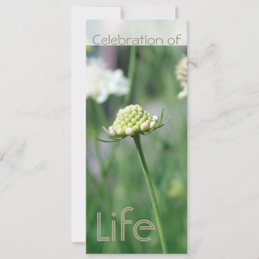 Feier zum Leben 2 Florale Landschaft Einladung (Vorderseite)