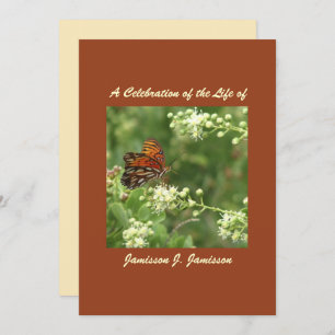 Feier zur Einladung des Lebens, Orangefarbene Schm