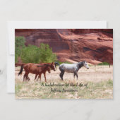 Feier zur Einladung zum Leben, drei Pferde (Vorderseite)