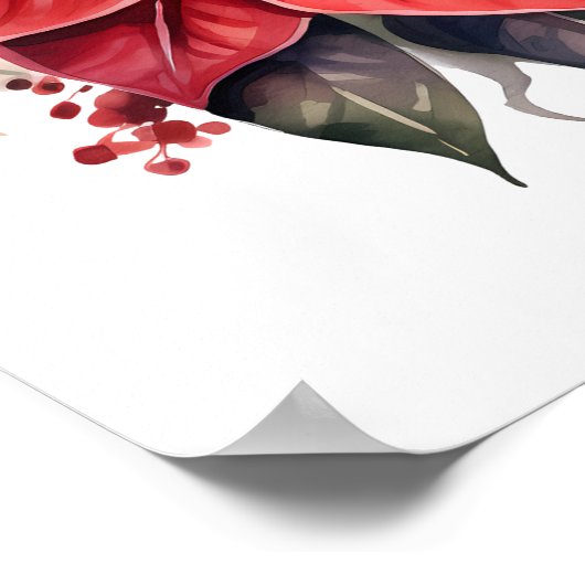 Feierliche Blume in Roter Poinsettia Poster (Ecke)