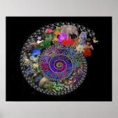 Feierliche Evolution Poster (Vorne)