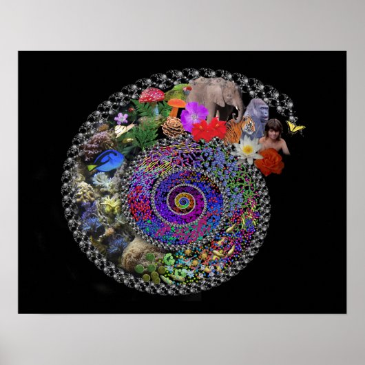 Feierliche Evolution Poster (Vorne)