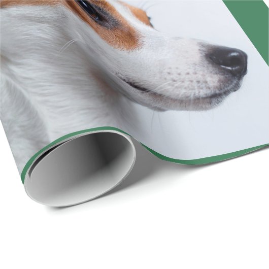 Feierliche Grüne Hundenknochen Foto Collage Weihna Geschenkpapier (Rolleneckpunkt)