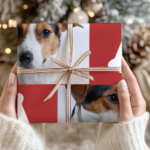 Feierliche Rote Dog Knochen Foto Collage Weihnacht