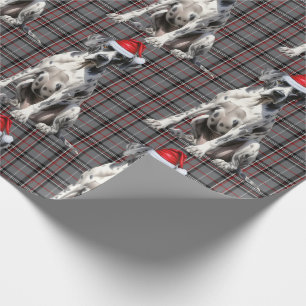 Feierliche Rote Karierte und große Däne Hunde Weih Geschenkpapier
