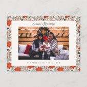 Feierliche Rote Poinsettia Foto Postkarte (Vorderseite)