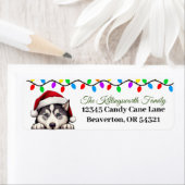 Feierliche Sibirische Weihnachtsmarken (Insitu)