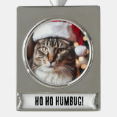 Feierliche Tabby Banner-Ornament Silber (Vorderseite)