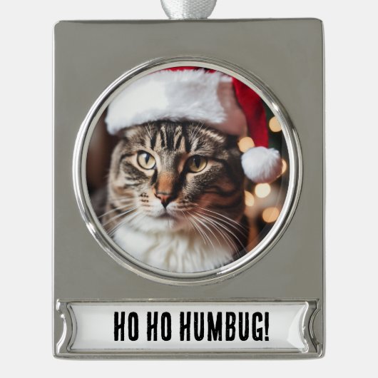 Feierliche Tabby Banner-Ornament Silber (Vorderseite)