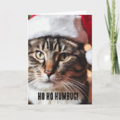 Feierliche Tabby Karte (Vorderseite)