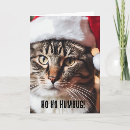 Feierliche Tabby Karte (Vorderseite)