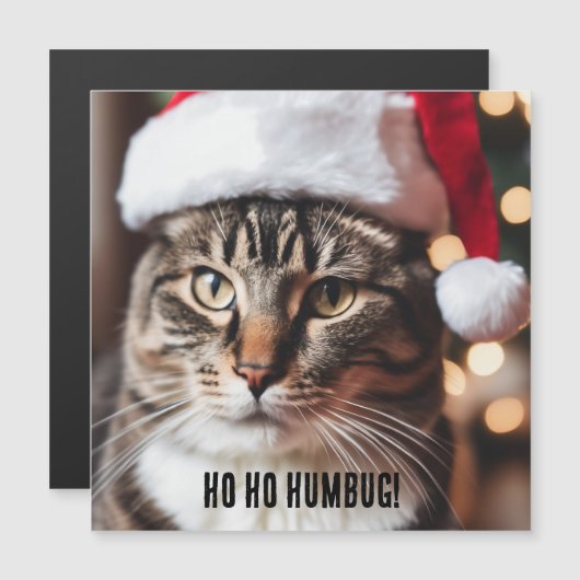 Feierliche Tabby Magnetkarte (Vorne/Hinten)