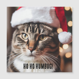 Feierliche Tabby Magnetkarte