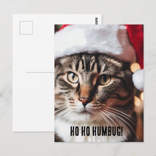 Feierliche Tabby Postkarte (Vorne/Hinten)