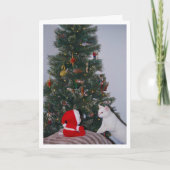 Feierliche White Kitten und Santa Portrait Karte (Vorderseite)