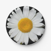 Feierlicher Frühling mit riesiger weißer Daisy Pappteller (Vorderseite)