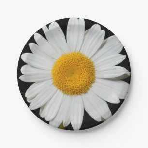 Feierlicher Frühling mit riesiger weißer Daisy Pappteller