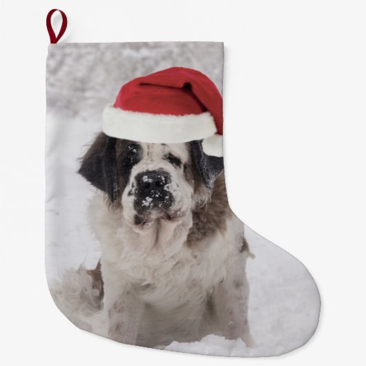 Feierlicher Hund mit Weihnachtsmannmütze Großer Weihnachtsstrumpf (Vorderseite)