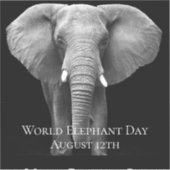 Feierlicher Weltleitentag: Majestic Design Aufkleber (Vorderseite)