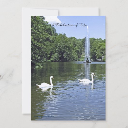 Feiern der Einladung zum Leben, Schwäne und Brunne (Vorderseite)