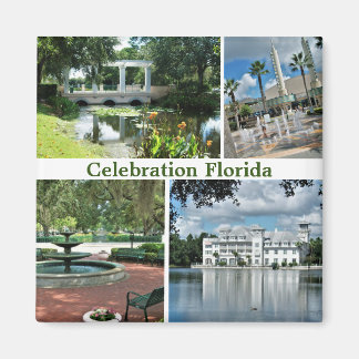 Feiern Florida Square Magnet 4 Bilder