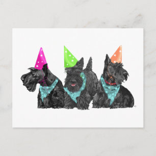 Feiern mit Schotten in Party Hats Postkarte