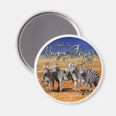 "Feiern Sie Ihre einzigartigen Streifen" Zebra Art Magnet (Vorderseite/Rückseite)