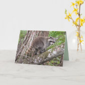 Feiern Sie Ihren Geburtstag wie ein Raccoon Karte (Gelbe Blume)