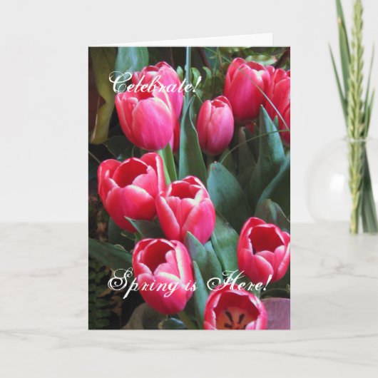 Feiern Sie! , Ist Frühling hier! Feiertagskarte (Vorderseite)