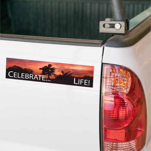 Feiern Sie… Leben Autoaufkleber (Auf Lkw)