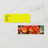 Feiern Sie Mini Visitenkarte (Vorne/Hinten)