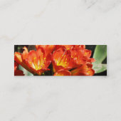 Feiern Sie Mini Visitenkarte (Rückseite)