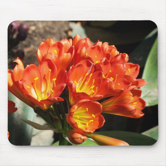 Feiern Sie Mousepad (Vorne)