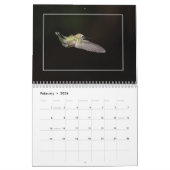 Feiern wir Hummingbirds Kalender (Feb 2026)